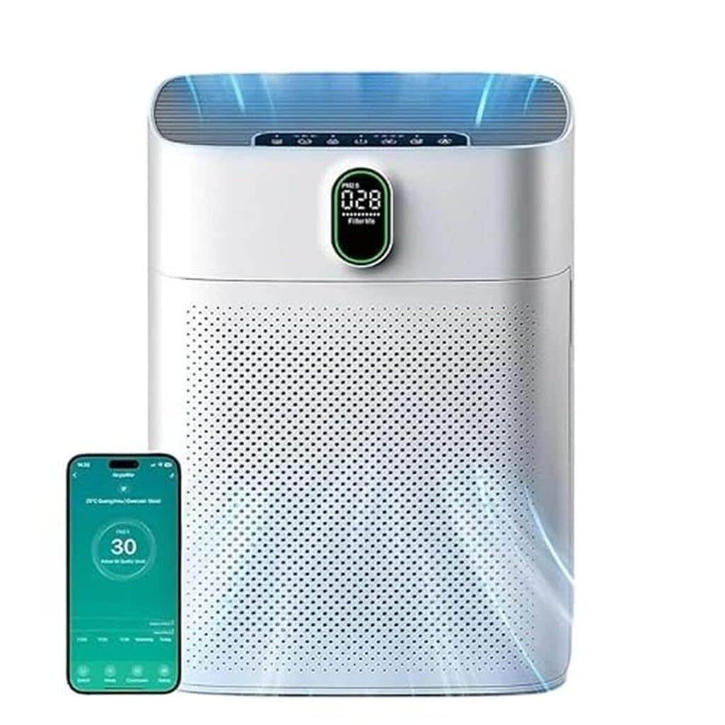 Test : oryzom Purificateur d'air V1 Pro – Filtration HEPA intelligente