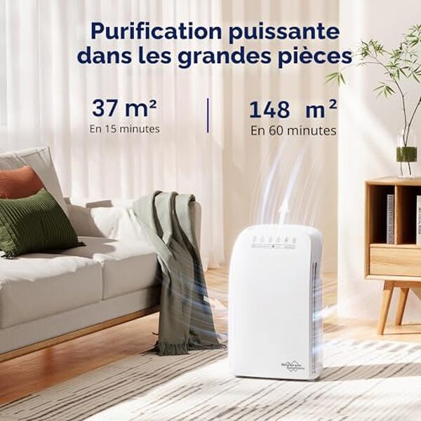 Découvrez notre test détaillé du purificateur d'air Membrane Solutions MSA3. Performance silencieuse, efficacité de filtration et prix : tous les détails pour bien choisir. 